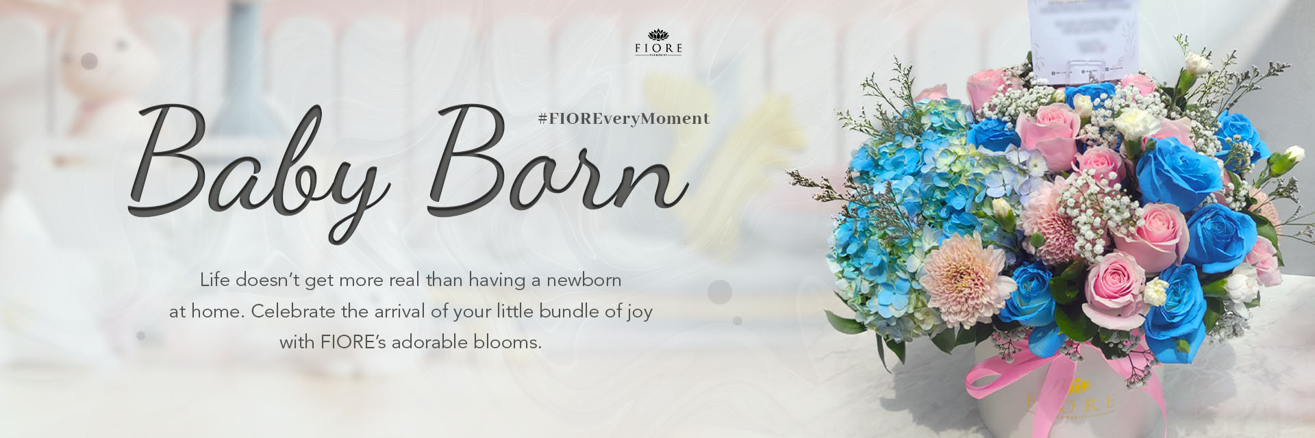Banner - Baby Born